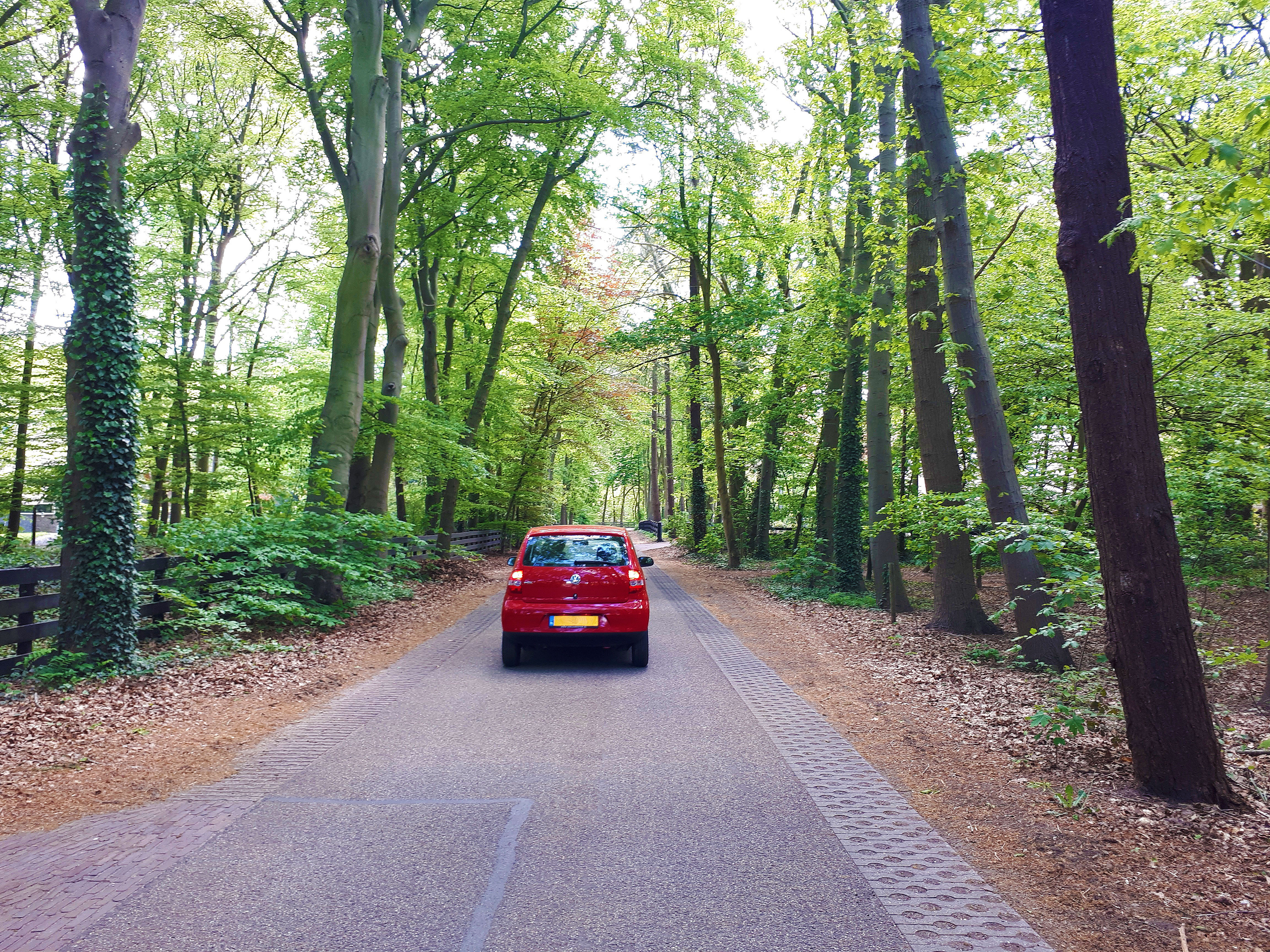 De_Vrijetijdkrant_5_dingen_die_je_nog_kunt_doen_tijdens_corona_op_de_Veluwe_autoroutes