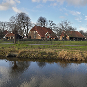 De_Vrijetijdkrant_kinderboerderijen_Achterhoek_kinderboerderij_de_ahof_aalten