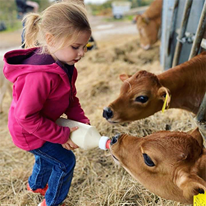 De_Vrijetijdkrant_kinderboerderijen_Rijk_van_Nijmegen_Harms_Hoeve