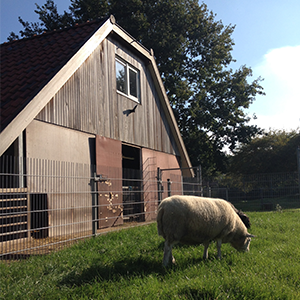 De_Vrijetijdkrant_kinderboerderijen_Rijk_van_Nijmegen_Kinderboerderij_Lindenholt