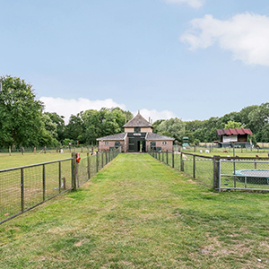 De_Vrijetijdkrant_kinderboerderijen_Steden-Driehoek_Beleefboerderij_de_kleine_carrousel_laren_gelderland