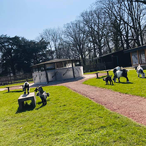 De_Vrijetijdkrant_kinderboerderijen_Utrecht_Dierenweide_Kukele-Boe