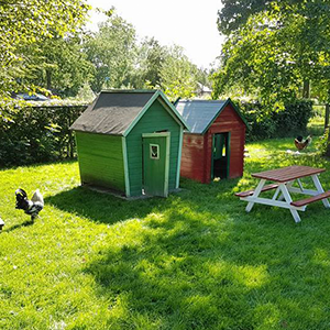 De_Vrijetijdkrant_kinderboerderijen_Utrecht_Kinderboerderij_t_Eiterse_Hofje
