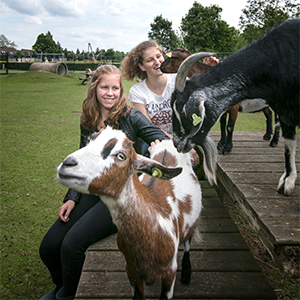 De_Vrijetijdkrant_kinderboerderijen_in_de_betuwe_kinderboerderij_zaltbommel_fotograaf_Bas_Moerman