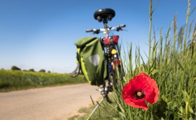 Top 5 routes door de Betuwe