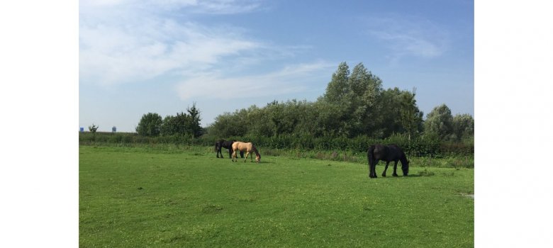 Zorg- en kinderboerderij Overbetuwe