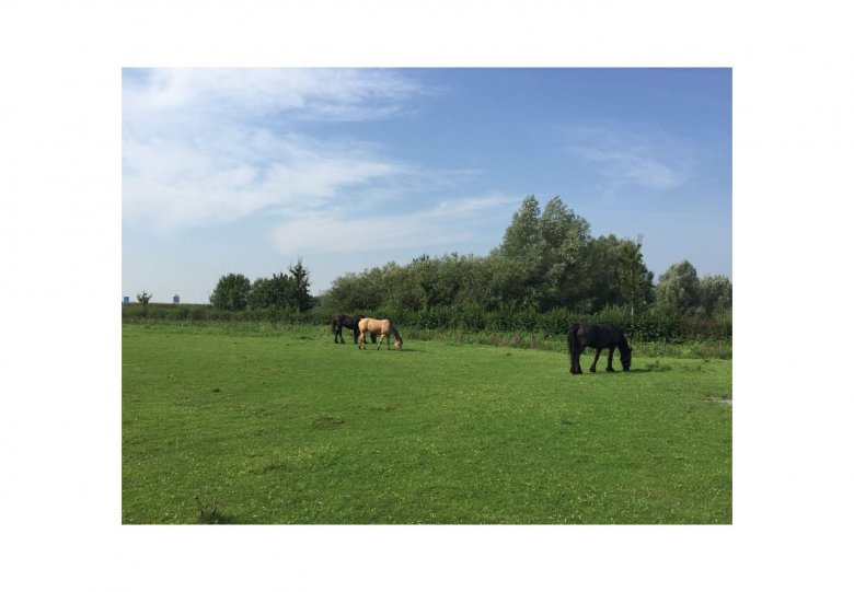 Zorg- en kinderboerderij Overbetuwe